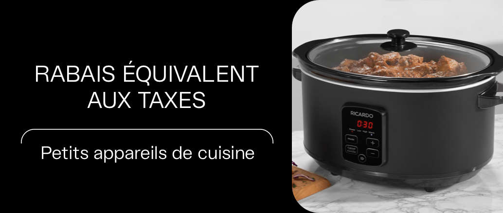 11 - petit electro - FR