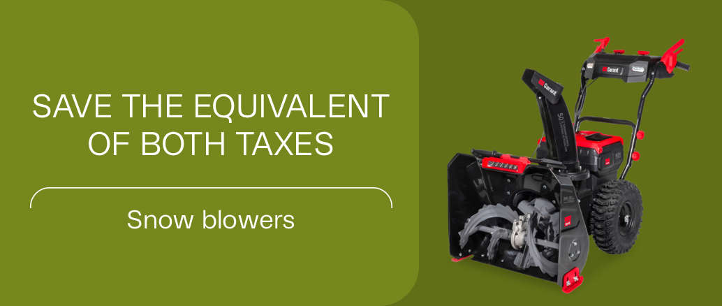 12- boxing week - Souffleuse - EN