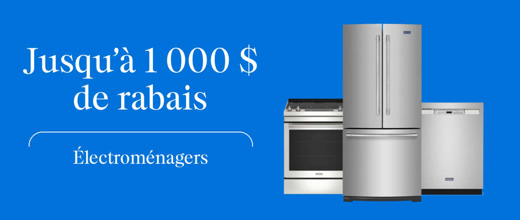 01 - Janvier - Blanc - FR