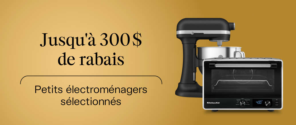 02 - fevrier - VDM - BMSM petit electro - FR