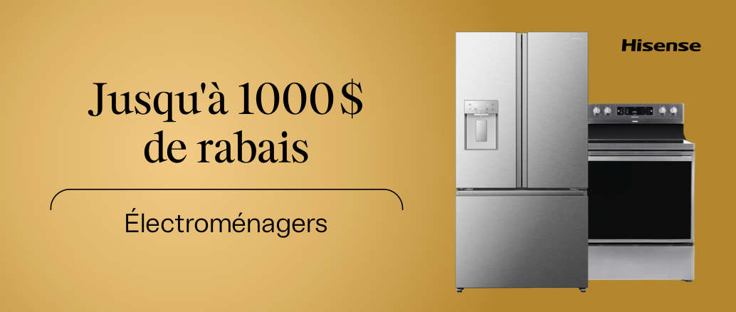 04 - VDM - 1000$ de rabais électros - 20 - 3m - FR