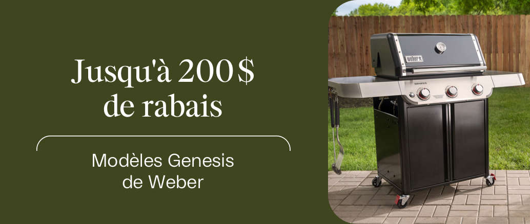 05 - Genesis - fr