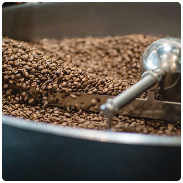 How to Select Coffee Beans for Weekend Use: Ultimate Guide