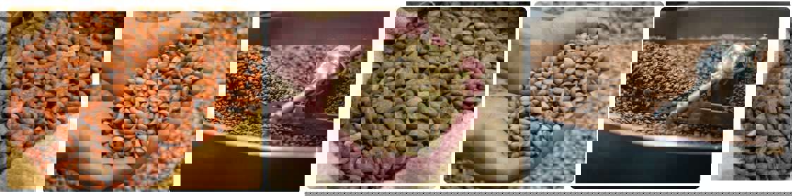 Aperçu des étapes de la torréfaction