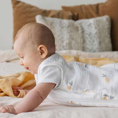 Baby Swaddles & Wearable Blankets