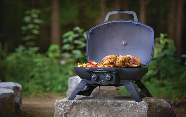 barbecues portatifs
