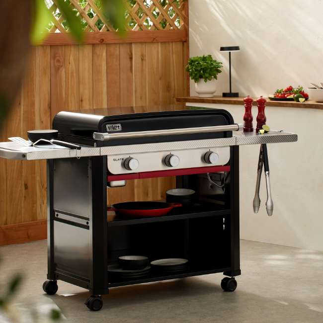 plancha cooking