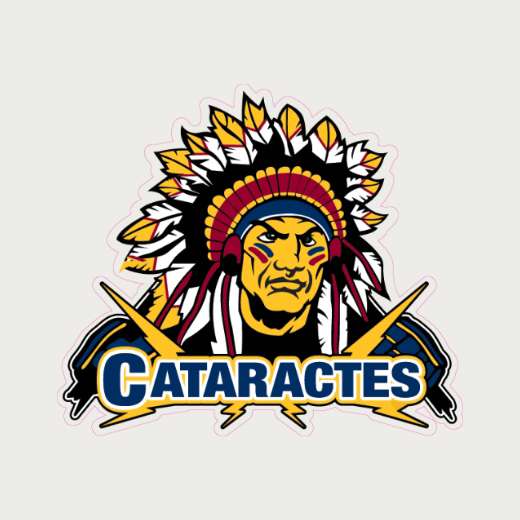 Cataractes de Shawinigan