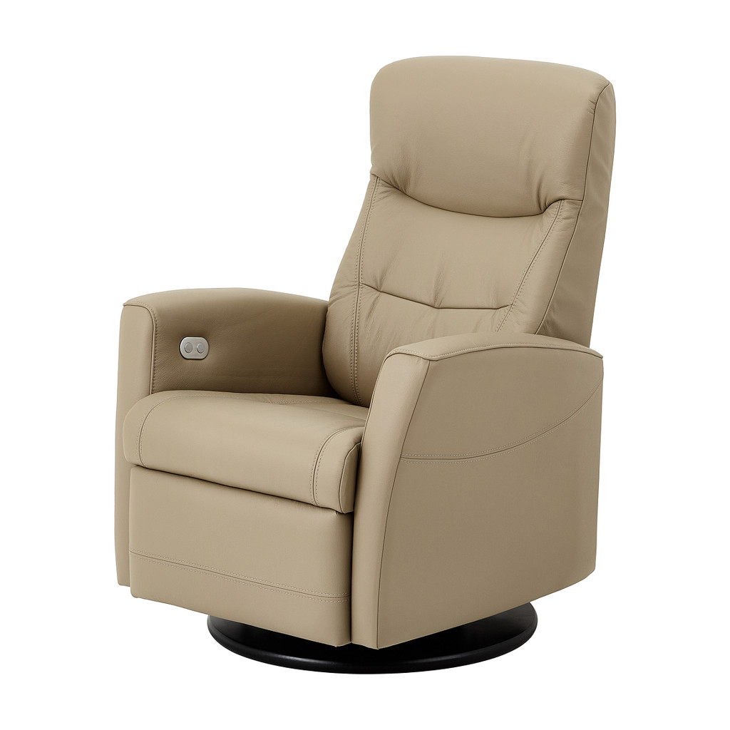 Oslo Leather Power Recliner (Small)