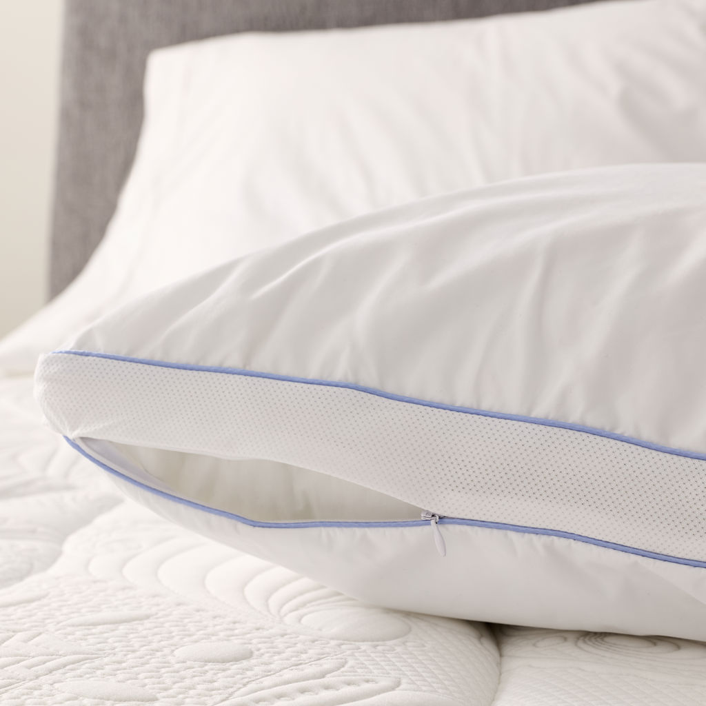 1 Pillow Protector (King)