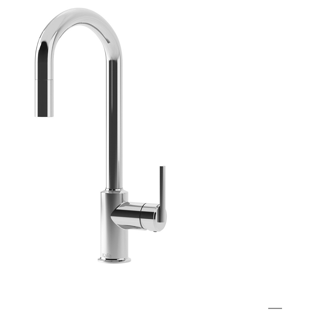 Cite diver Single Control Kitchen Faucet - Chrome