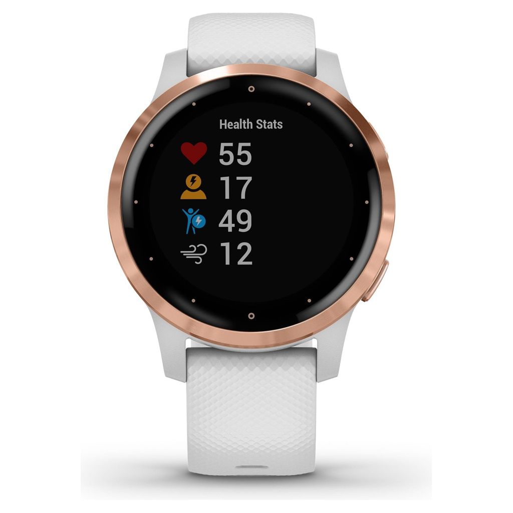 Montre intelligente VivoActive 4S