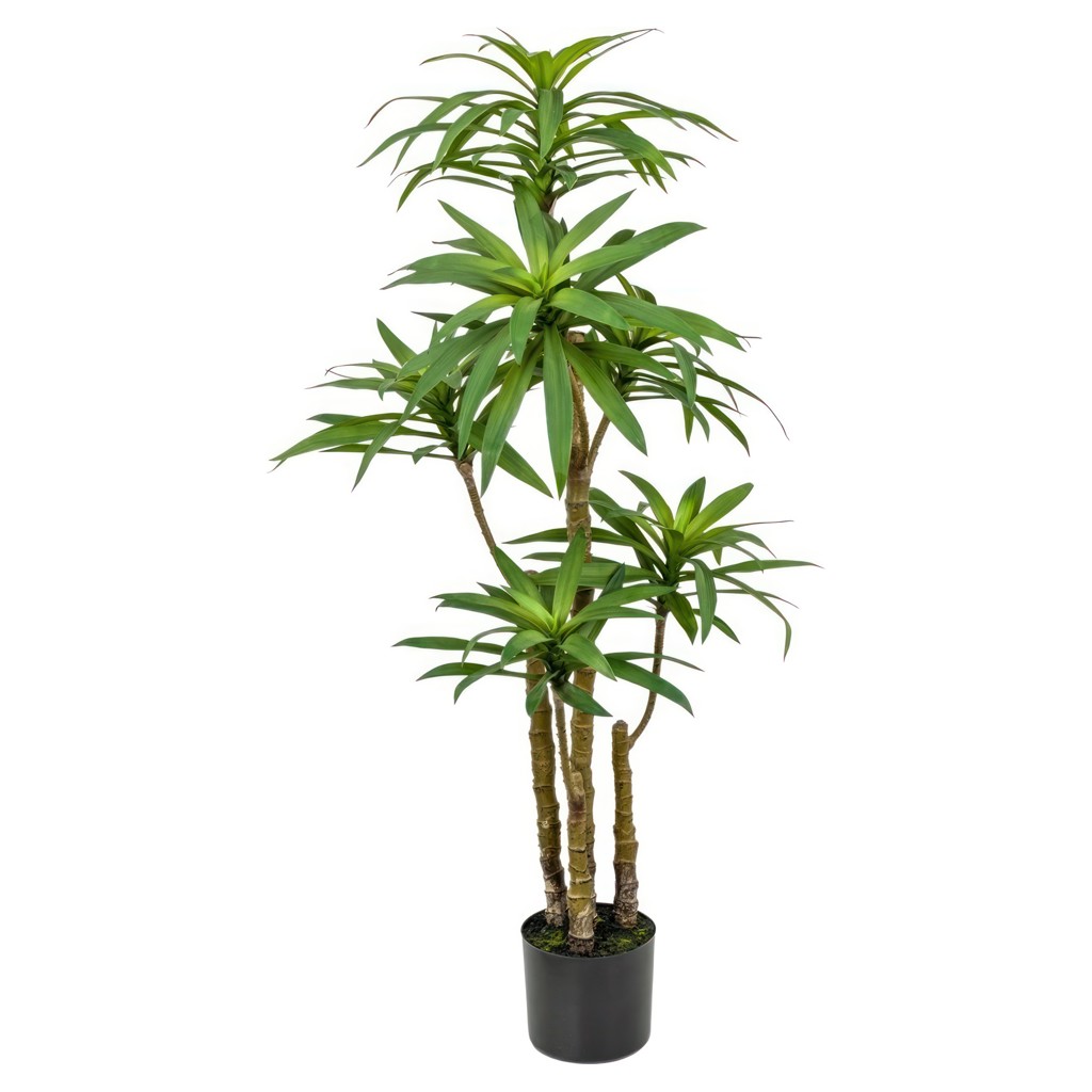 Plante artificielle - Dracaena 51 po