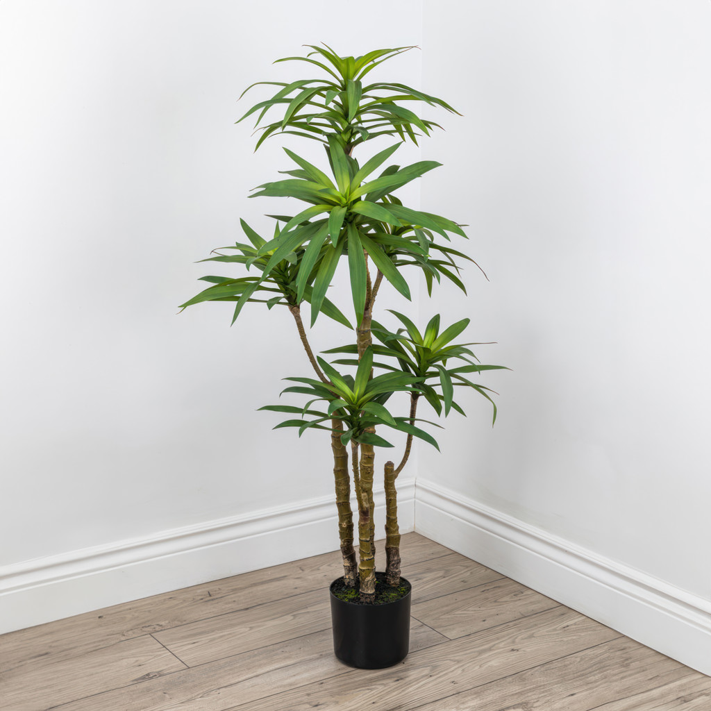 Plante artificielle - Dracaena 51 po