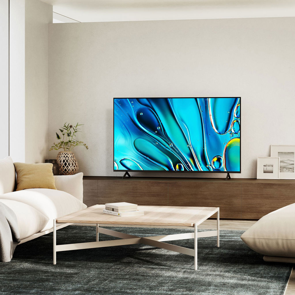 Téléviseur Bravia 3 DEL 4K HDR Smart TV - 50 po