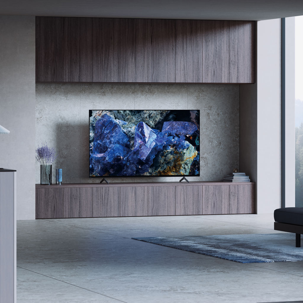 Téléviseur OLED 4K écran 55 po