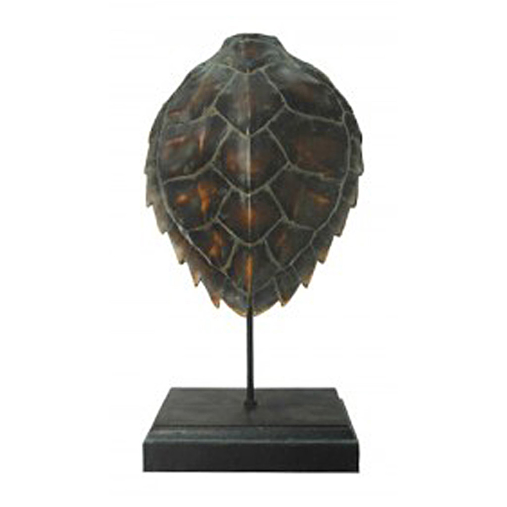 Carapace décorative de tortue (664427) Tanguay livraison gratuite au Québec Carapace décorative de tortue (664427) Tanguay livraison gratuite au Québec