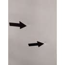 thumbs-img-10