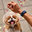 thumbs-img-7