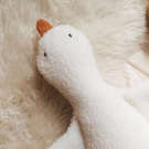 thumbs-img-2