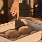 thumbs-img-5