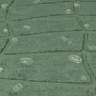 thumbs-img-10