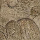 thumbs-img-5