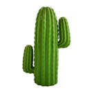Cactus 7X4X10