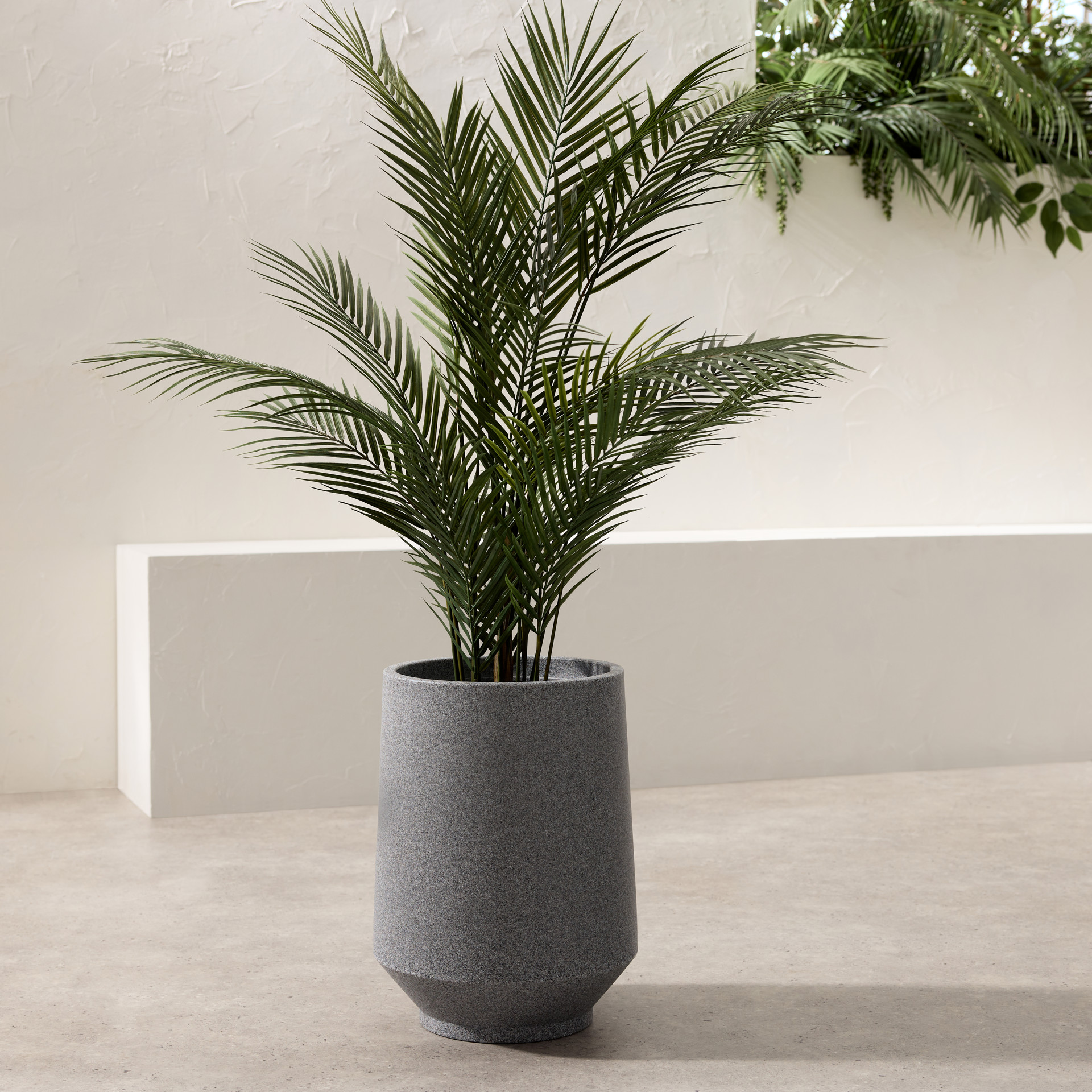 宮下将太 / silver dwarf pot planter 宮下将太 / silver dwarf pot