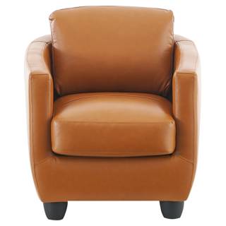 Fauteuil d'appoint en cuir et similicuir - Légères imperfections