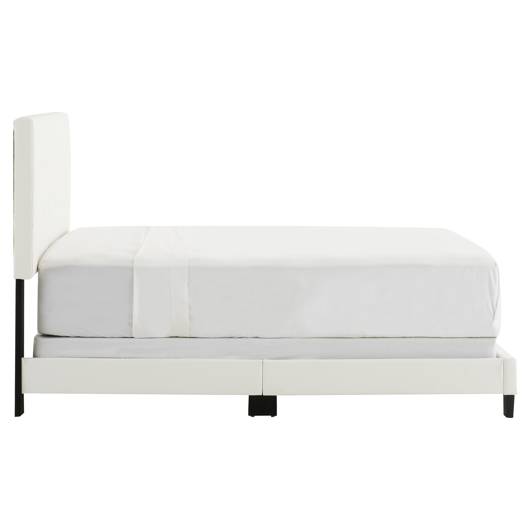 main-img-3