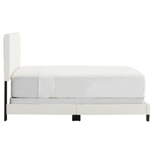 main-img-4