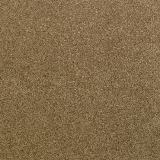 main-img-4