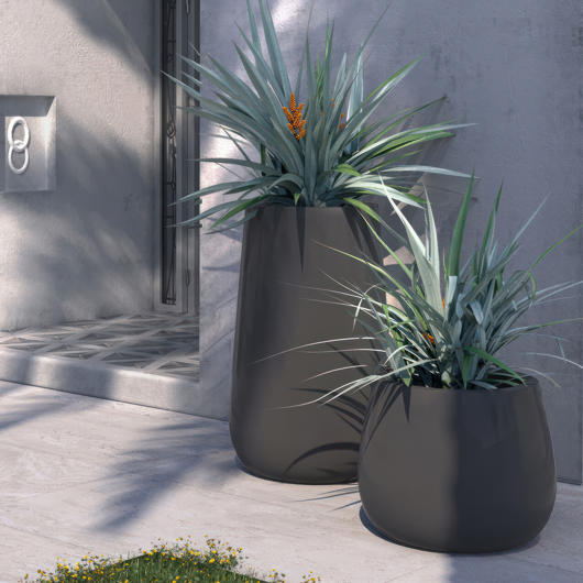 main-img-4