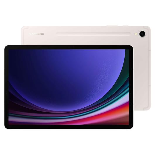 Tablette Galaxy Tab S9 de 11 po et 256 Go Samsung SM-X710NZEEXAC