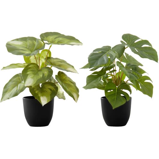 main-img-1
