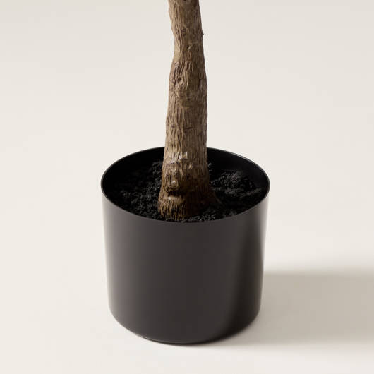 main-img-3