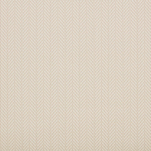main-img-7