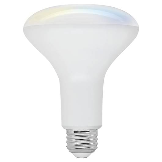 main-img-1