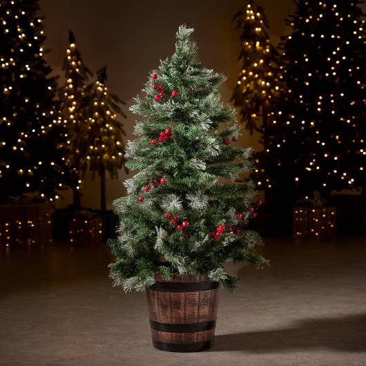 SAPINページ Sapin étincelant Stamp Set | Stampin' Up!