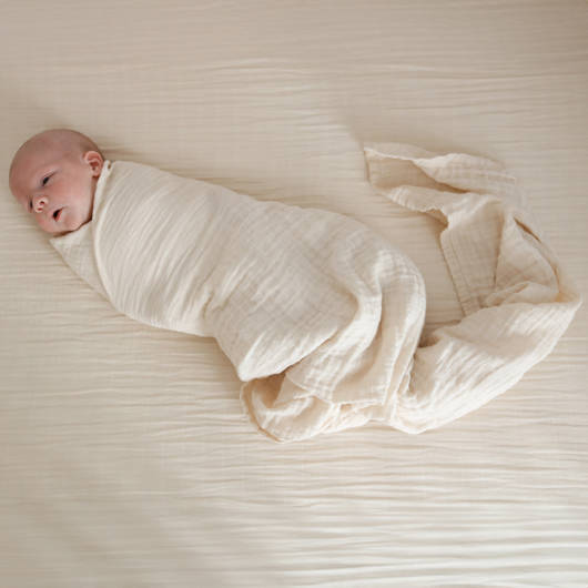 main-img-6