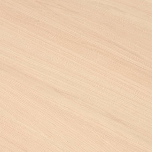 main-img-10
