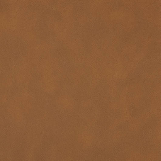 main-img-10