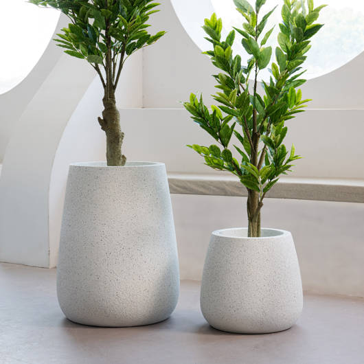 main-img-3