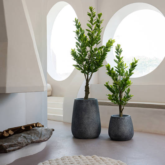 main-img-2