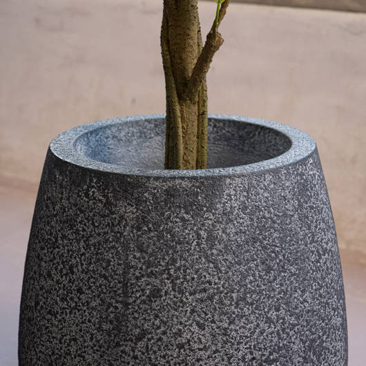 main-img-4