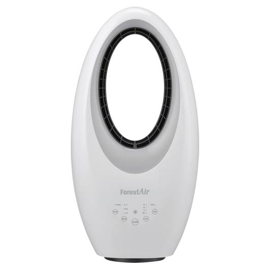 main-img-2