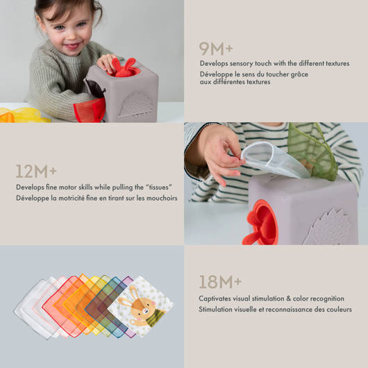 main-img-8