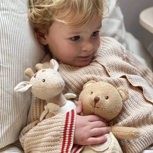 main-img-5