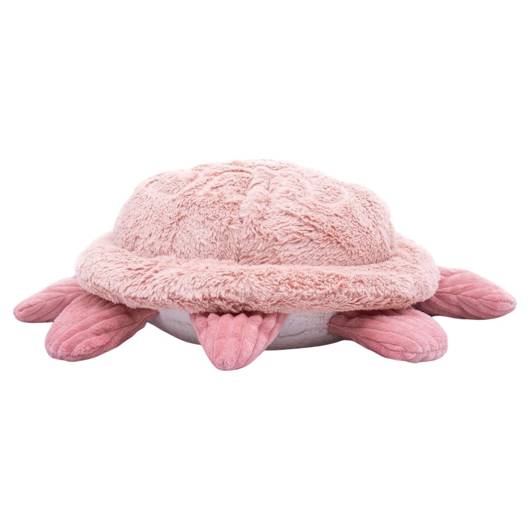 main-img-7